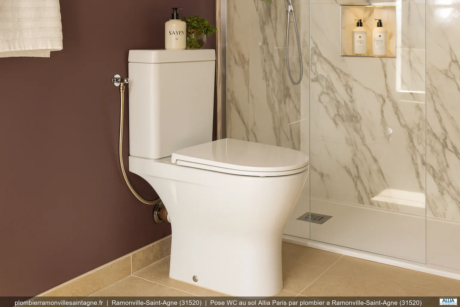 Pose WC au sol Allia Paris par plombier a Ramonville-Saint-Agne (31520)